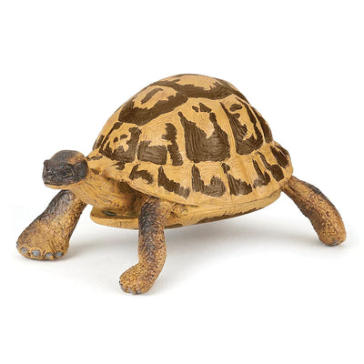 Papo Tortue d'Hermann