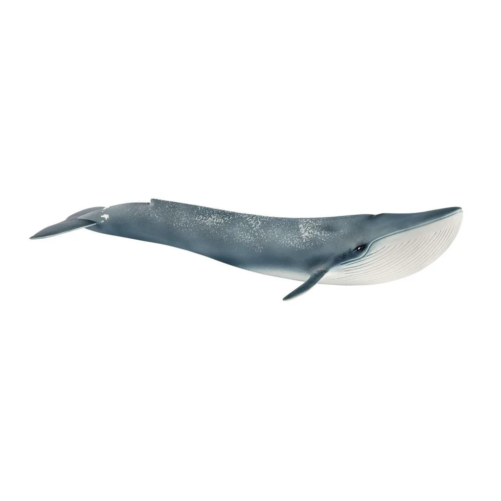 Schleich 14806 Baleine bleue