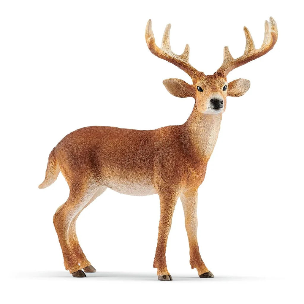 Schleich 14818 Cerf de Virginie