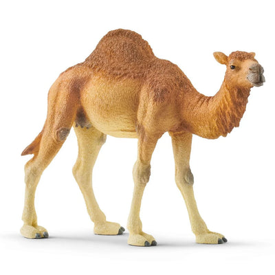 Schleich 14832 Dromadaire