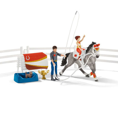 Schleich Aerobatic training