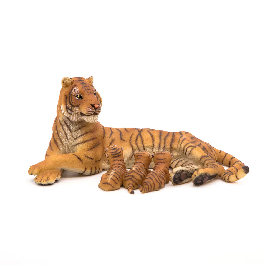 Liegende Tigermutter, die säugt