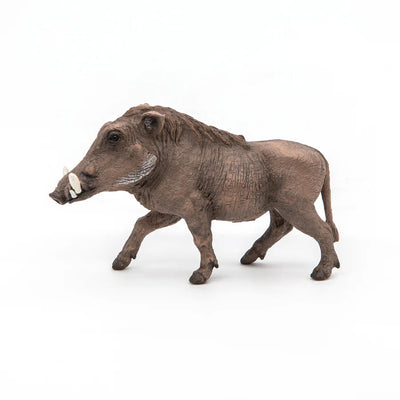 Papo Warthog