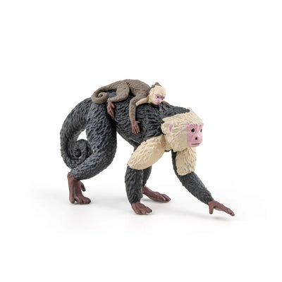 Papo Capucin et son bébé