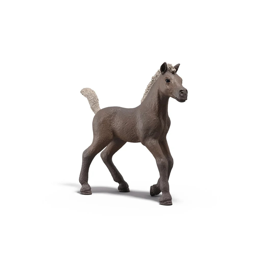 Schleich 81460 Collectible Foal Darcy