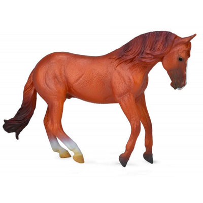 CollectA 88712 Australian Stock Horse