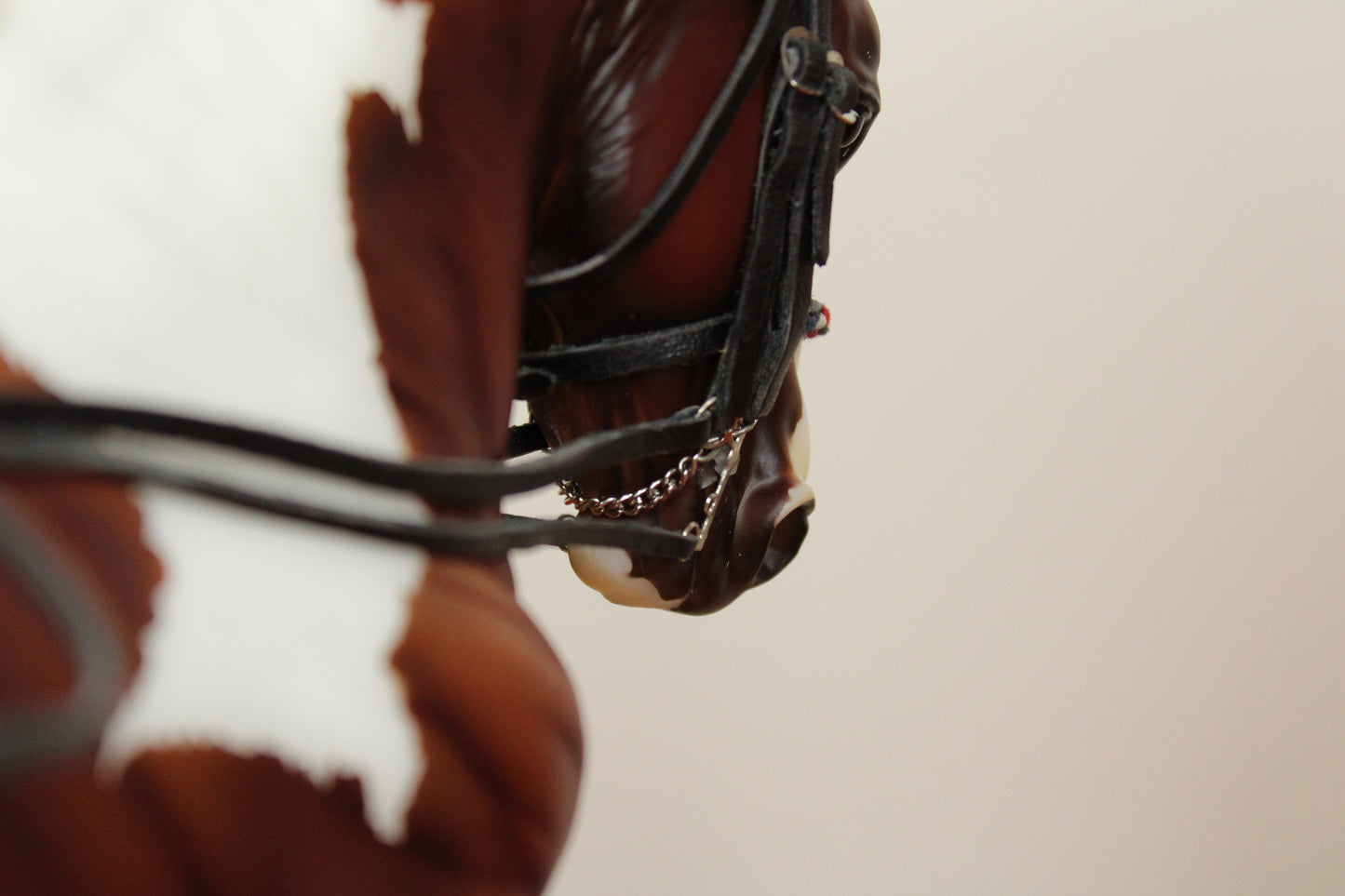 Bride de dressage tricolore (1:9)