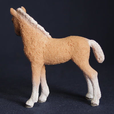 Schleich 13781 Bashkir Curly Foal