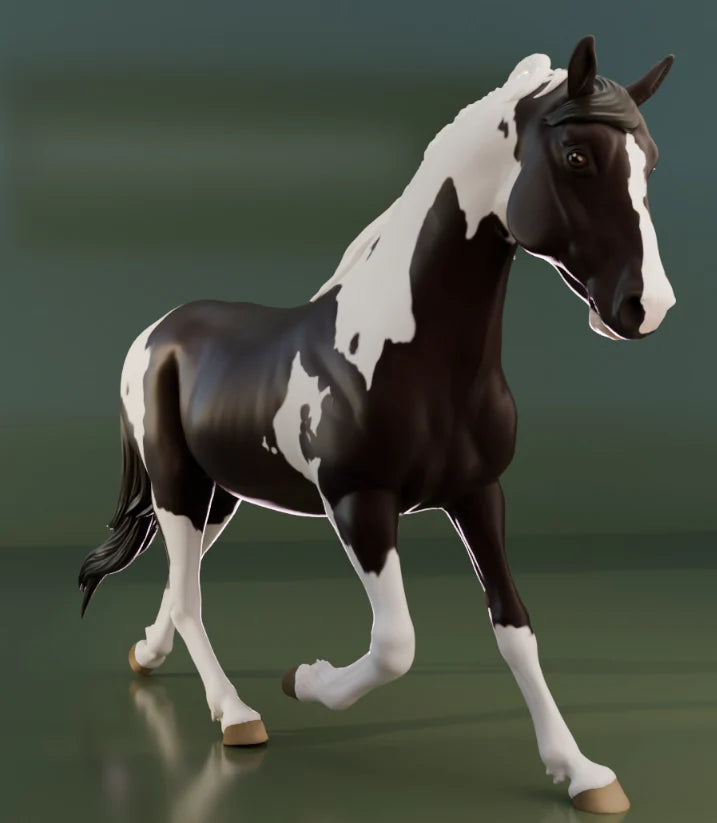Hongre Spotted Saddle Horse "Scout"