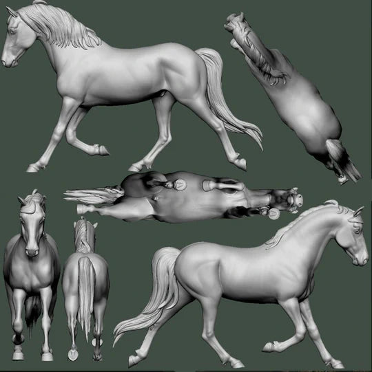 Spotted Saddle Horse Wallach "Scout"