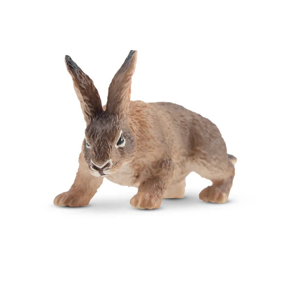 Toymany Lièvre Belge