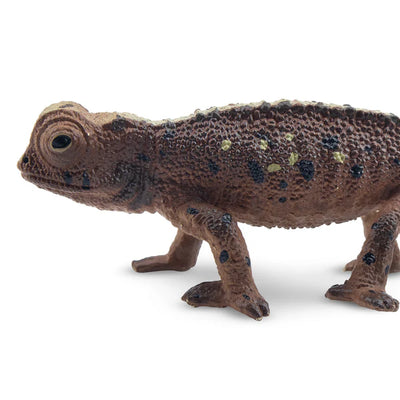 Toymany Brookesia Micra