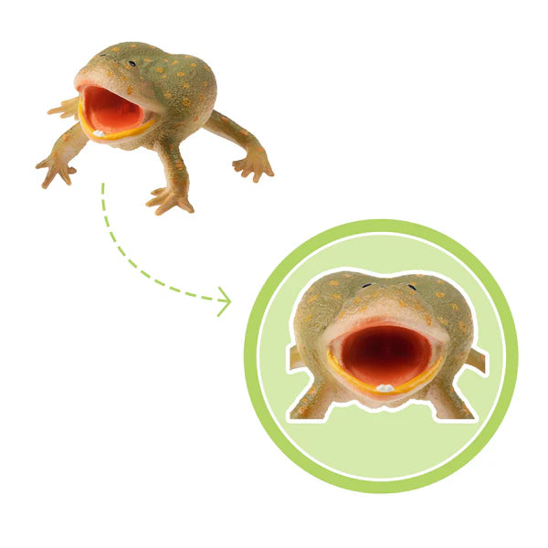 Toymany Grenouille de Budgett