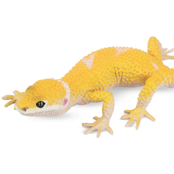 Toymany Gecko léopard