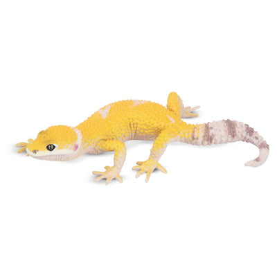 Toymany Gecko léopard
