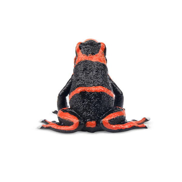 Toymany Sitting Black Bear