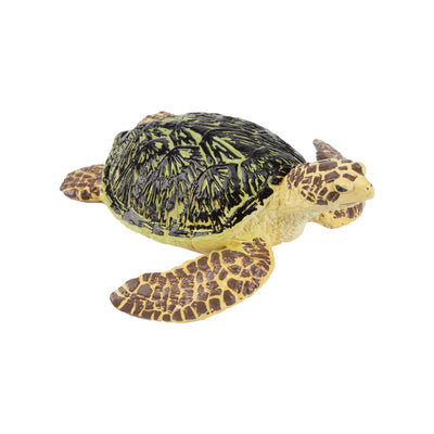 Toymany Tortue de Mer verte