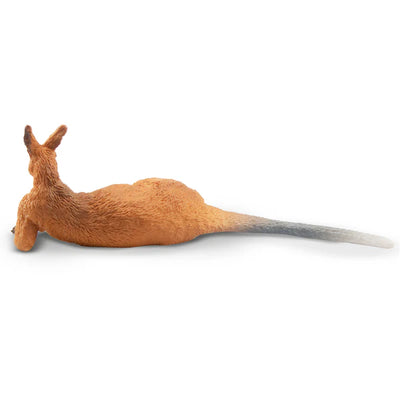 Toymany Känguru liegend