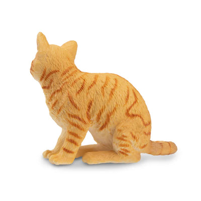 Toymany American Wirehair cat orange