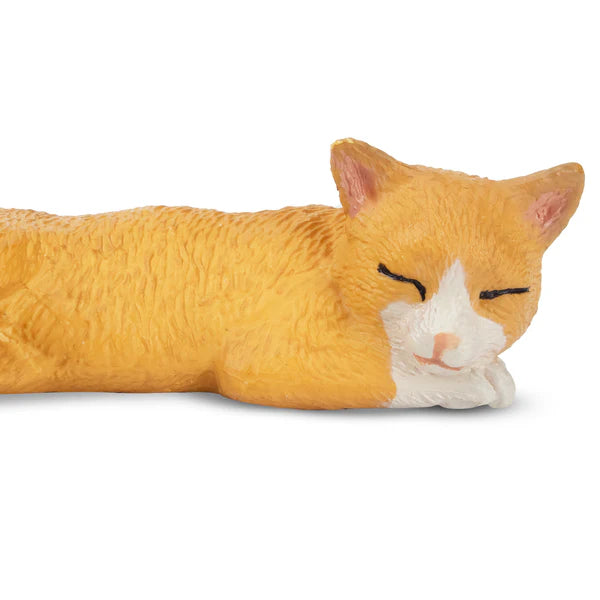 Toymany Chat orange endormi