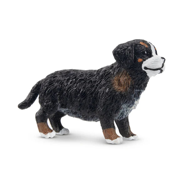 Toymany Bernese Mountain Dog Puppy Standing