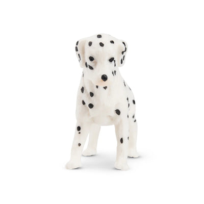 Toymany Chiot Dalmatien debout