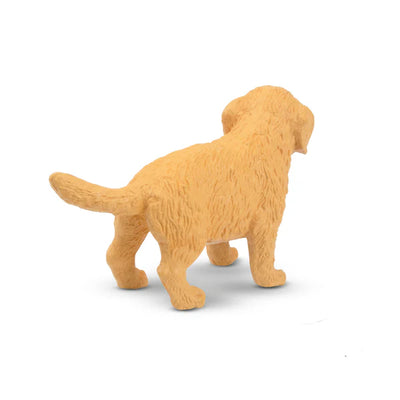 Toymany Chiot Golden Retriever debout