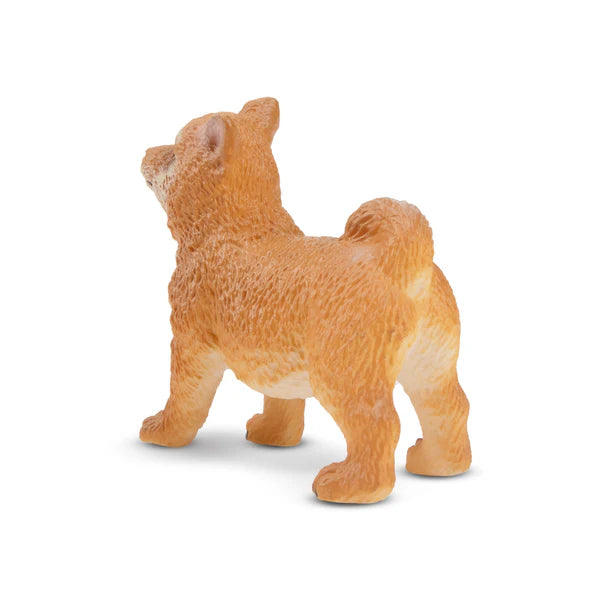 Toymany Chiot Shiba Inu debout