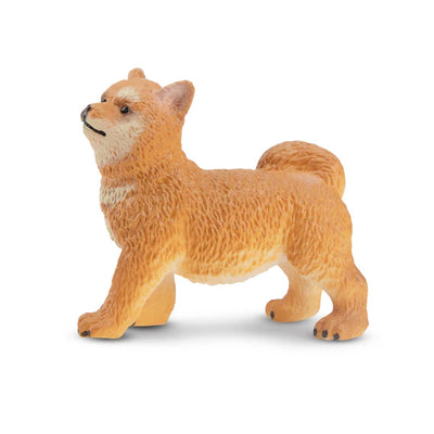 Toymany Chiot Shiba Inu debout
