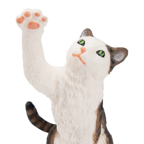 Toymany Chat Tabby assis