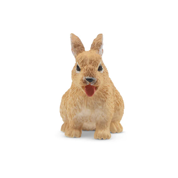 Toymany Lapin nain Néerlandais