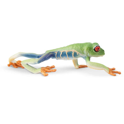 Toymany Grenouille arboricole aux yeux rouges