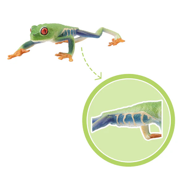 Toymany Sitting Black Bear