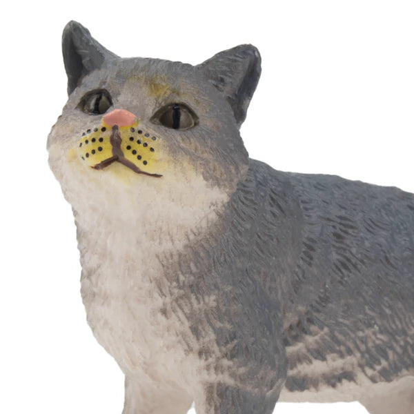 Toymany Chat Bleu Russe