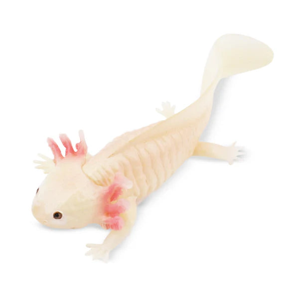 Toymany Axolotl