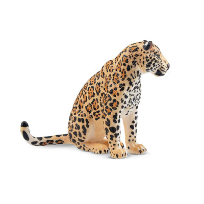 Toymany Jaguarweibchen sitzend