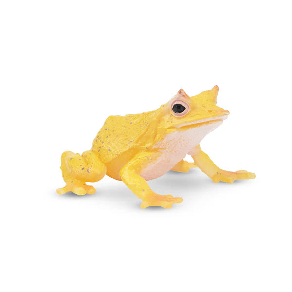 Toymany Grenouille Feuille des Îles Salomon