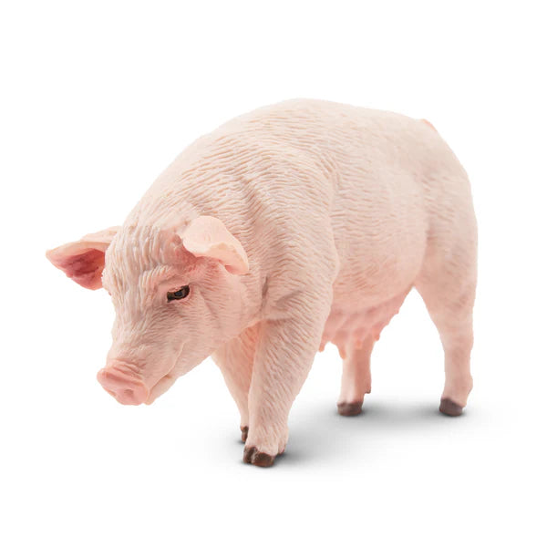 Toymany Pig Sow Standing