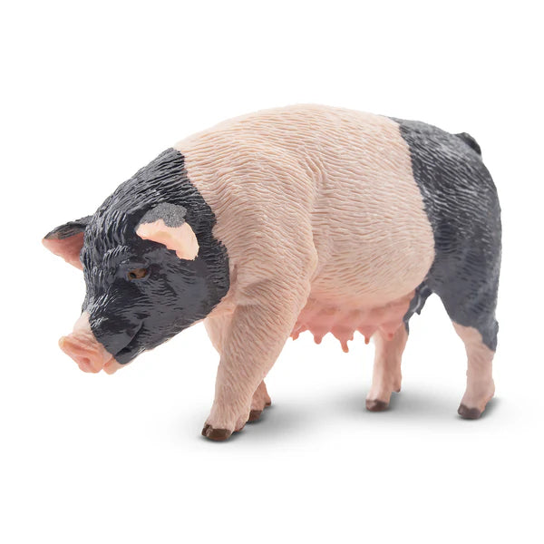 Toymany Cochon Pietrain Truie debout