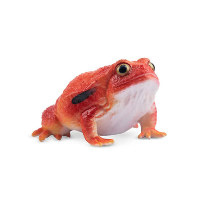 Toymany Grenouille tomate