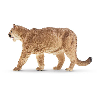 Toymany Cougar