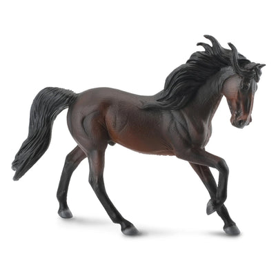 CollectA 88463 Andalusian Stallion Bay