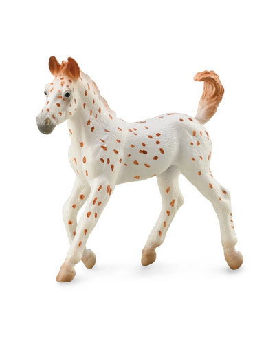 CollectA 88848 Poulain Knabstrupper