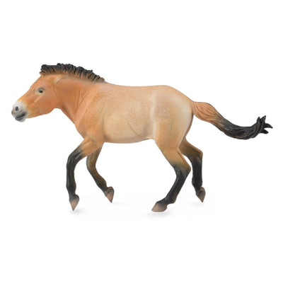 CollectA 88602 Przewalski's Stallion
