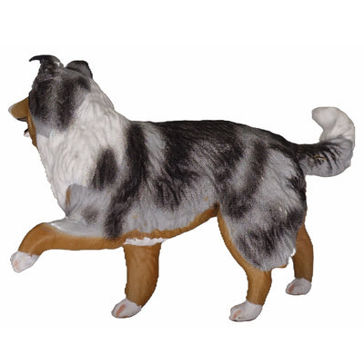 WIA Nana - Berger Australien Merle bleu (1:20)