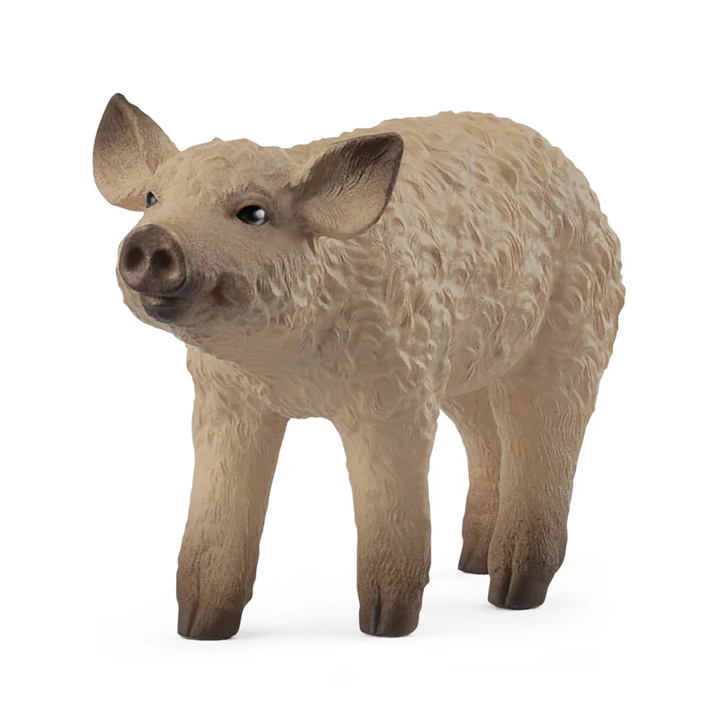 Schleich 14893 Porcelet Mangalica