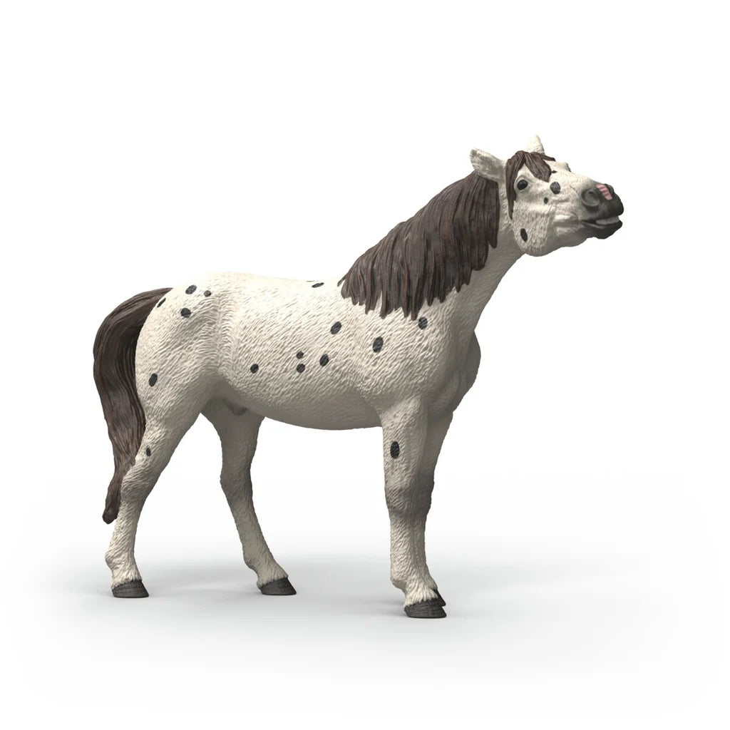 Schleich 14916 Knabstrupper Wallach