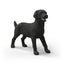 Schleich 14923 Femelle Labrador Retriever noir