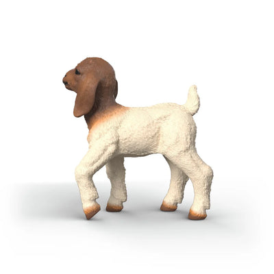 Schleich 14930 Chevreau Boer