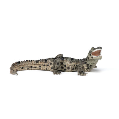 Papo Bébé Crocodile